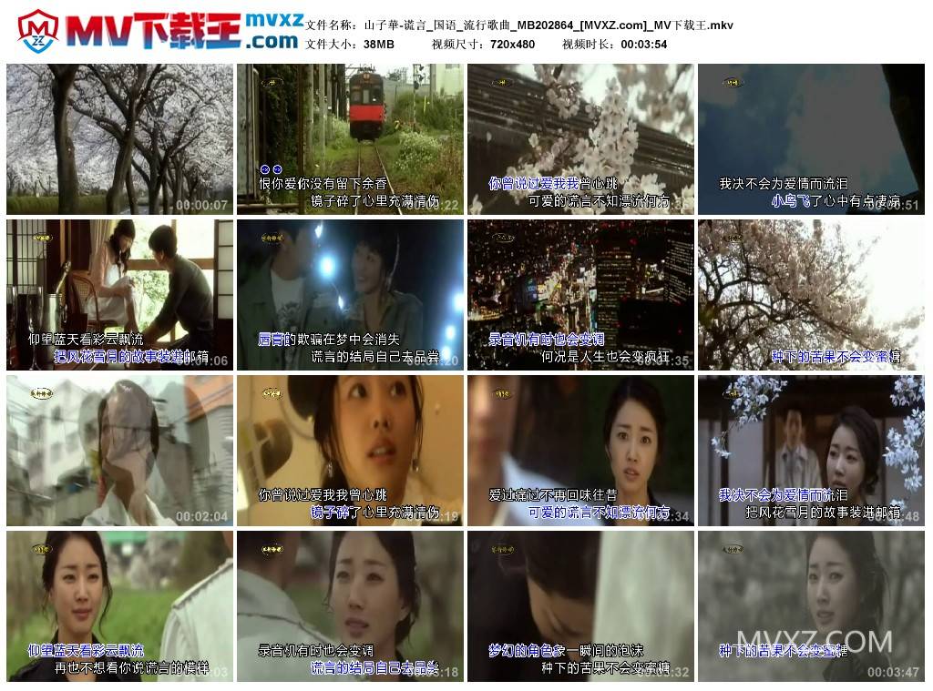 山子華-谎言_国语_流行歌曲_MB202864